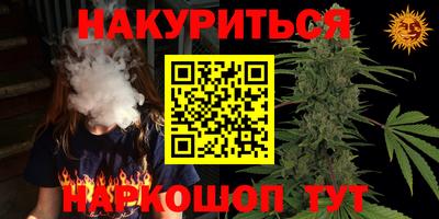индика Краснознаменск