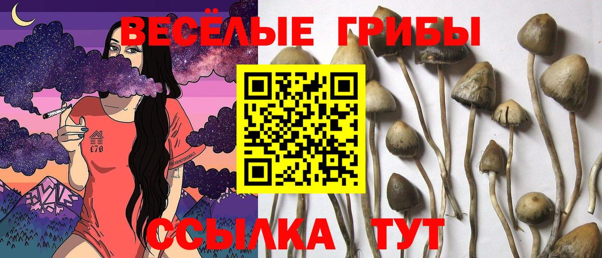Псилоцибиновые грибы Cubensis  Вход с VPN  Галлюциногенные грибы GOLDEN TEACHER  Кировск 