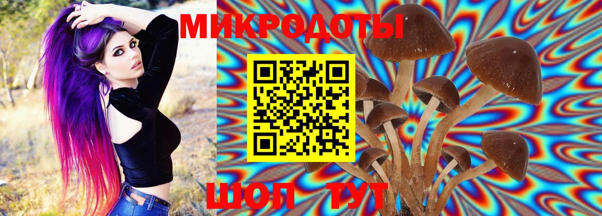 Псилоцибиновые грибы прущие грибы Кировск